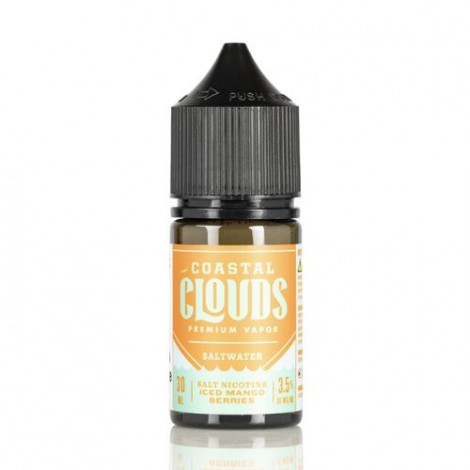 SALTWATER ICED MANGO BERRIES - COASTAL CLOUDS CO. - 30ML