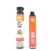 Big Bar Max Flow Duo | 4000 Puffs |